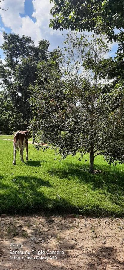 אמפארו Bougainville Hotel Fazenda מראה חיצוני תמונה